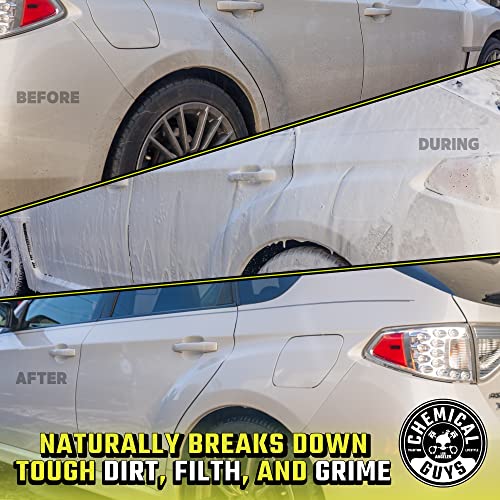 Scratch-Free Car Wash Detailing Bucket & Accessories Kit
