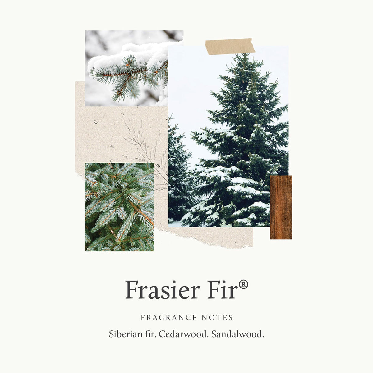 Car Air Freshener Diffuser with Fir, Cedarwood & Sandalwood Scent