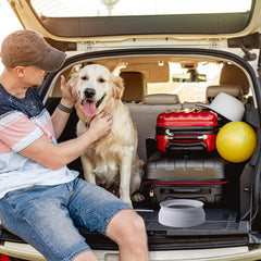 Collapsible Spill-Proof Dog Water Bowl for Car Travel